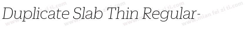 Duplicate Slab Thin Regular字体转换
